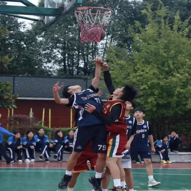 赛事动态深度观察：独特阵容视角解读第290组